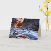 グリーティングカードジオンキャニオンザナロー空白のズ カード (黄色い花)