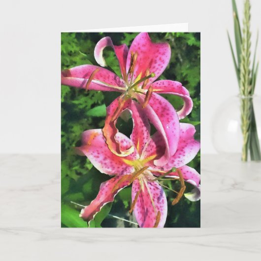 グリーティングカードスターガーザーリリー カード (正面)