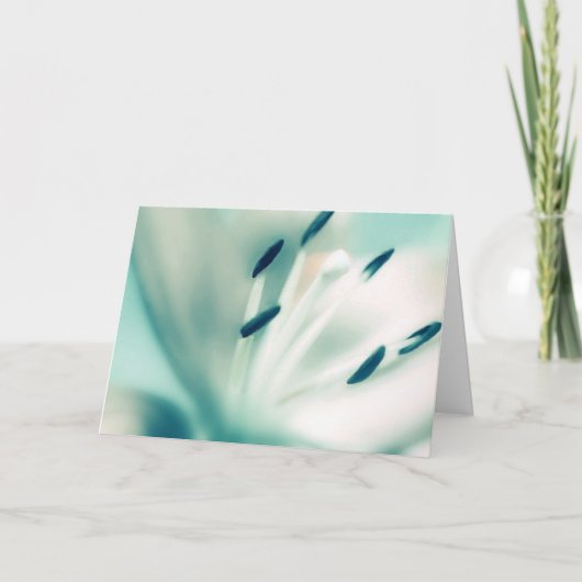 グリーティングカードテンプレート~パチョリリリリーブラワー カード (正面)