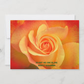 グリーティングカードバラ花 カード (正面)