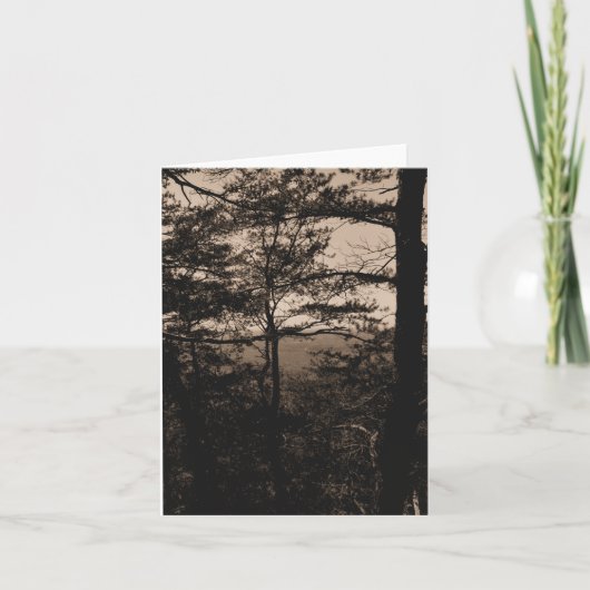 グリーティングカードフォレスト自然の風景 カード (正面)