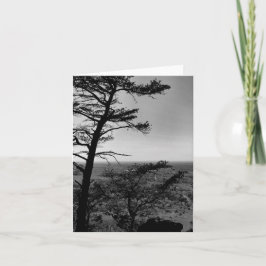 グリーティングカードフォレスト自然風景写真 カード