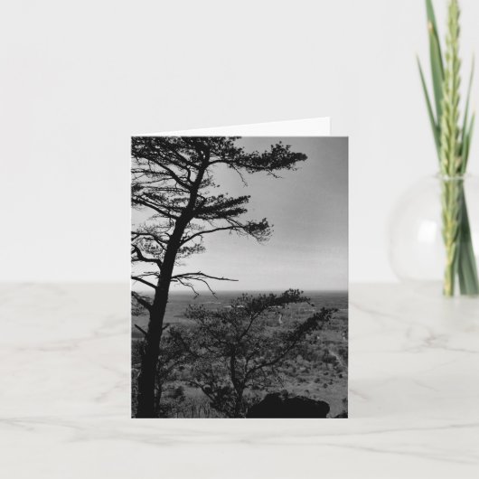 グリーティングカードフォレスト自然風景写真 カード (正面)