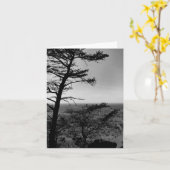 グリーティングカードフォレスト自然風景写真 カード (黄色い花)