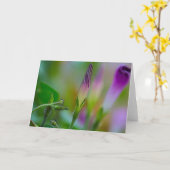グリーティングカードモーニンググローリーアート写真 カード (黄色い花)