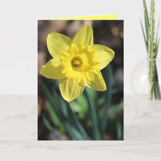 グリーティングカード春! カード (正面)