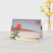 グリーティングカード独身の – 夕日のバラ カード (黄色い花)