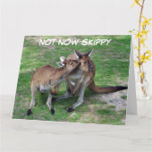 グリーティングカード空白のをスキップ カード (黄色い花)