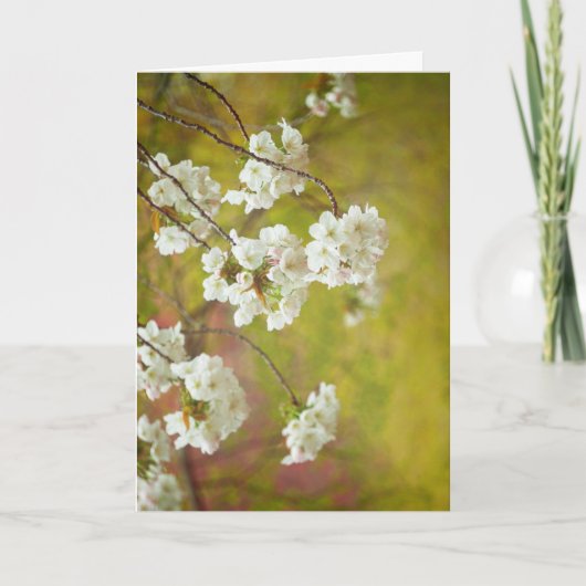 グリーティングカード空白の（内側） カード (正面)