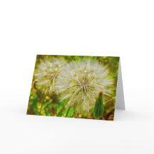 グリーティングカード