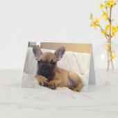 グリーティングカード (黄色い花)