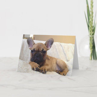 グリーティングカード