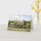 グリーティングカード (黄色い花)