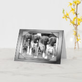 グリーティングカード (黄色い花)