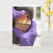 グリーティングカード (黄色い花)