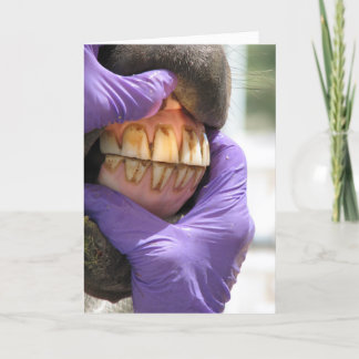 グリーティングカード