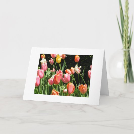 グリーティングカード (正面)