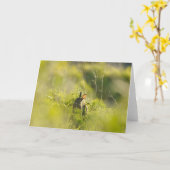 グリーティングカード-うさぎ3 カード (黄色い花)