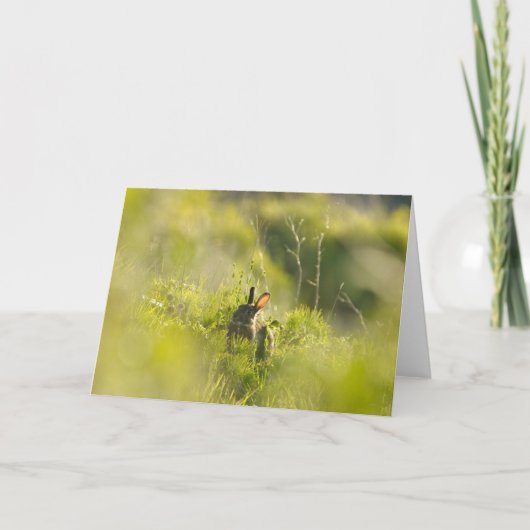 グリーティングカード-うさぎ3 カード (正面)