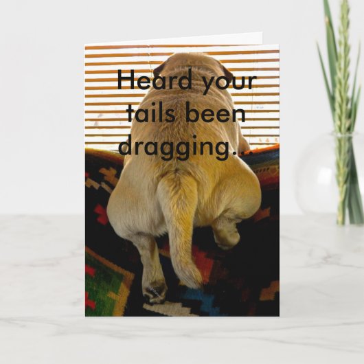 グリーティングカード – よくなる – Puppytale (正面)