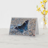 グリーティングカード – アゲハチョウ蝶 (黄色い花)