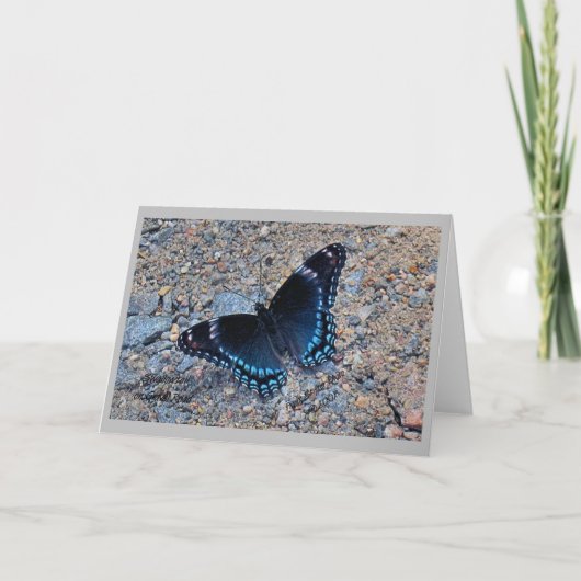 グリーティングカード – アゲハチョウ蝶 (正面)