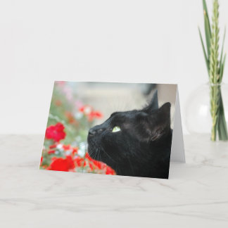 グリーティングカード – ウォッチ