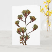 グリーティングカード-カンガルーポー カード (黄色い花)