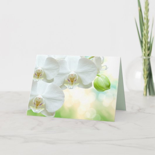 グリーティングカード シーズンカード (正面)