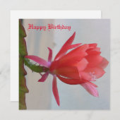 グリーティングカード シーズンカード (正面/裏面)