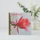 グリーティングカード シーズンカード (スタンド正面)