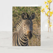 グリーティングカード – ゼブラの顔 (黄色い花)