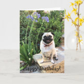 グリーティングカード:ハッピーバースデー! カード (黄色い花)