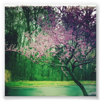 グリーティングカード フォトプリント           