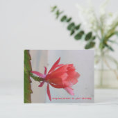 グリーティングカード ポストカード (スタンド正面)