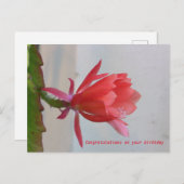 グリーティングカード ポストカード (正面/裏面)