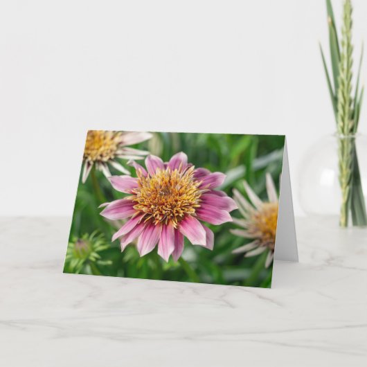 グリーティングカード – ポーツマスのガーデン美しい (正面)