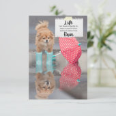 グリーティングカード – ライフ サンキューカード (スタンド正面)