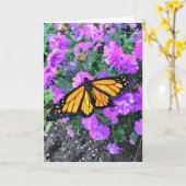グリーティングカード(昆虫)オオカバマダラ、モナークパープルアスター カード (黄色い花)
