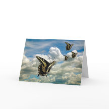 グリーティングカード – 曇り空の蝶