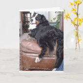 グリーティングカード、標準の白い封筒が含まれる カード (黄色い花)