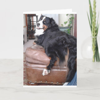 グリーティングカード、標準の白い封筒が含まれる カード