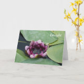 グリーティングカード、標準の白い封筒が含まれる カード (黄色い花)