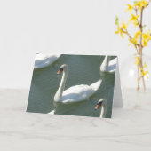 グリーティングカード – 白鳥の色 (黄色い花)