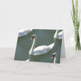 グリーティングカード – 白鳥の色