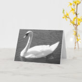 グリーティングカード – 白鳥黒白 (黄色い花)