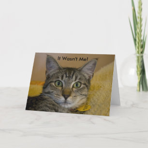 グリーティングカード：私は猫ではない2 カード