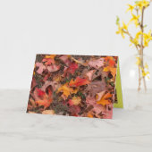 グリーティングカード/秋 カード (黄色い花)