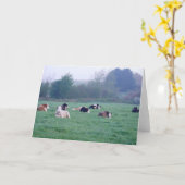 グリーティングカード – 色の牛 (黄色い花)