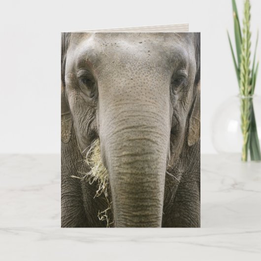 グリーティングカード「覚えている」 カード (正面)